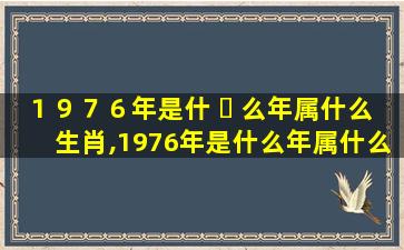 １９７６年是什 ☘ 么年属什么生肖,1976年是什么年属什么生肖,是闰年吧